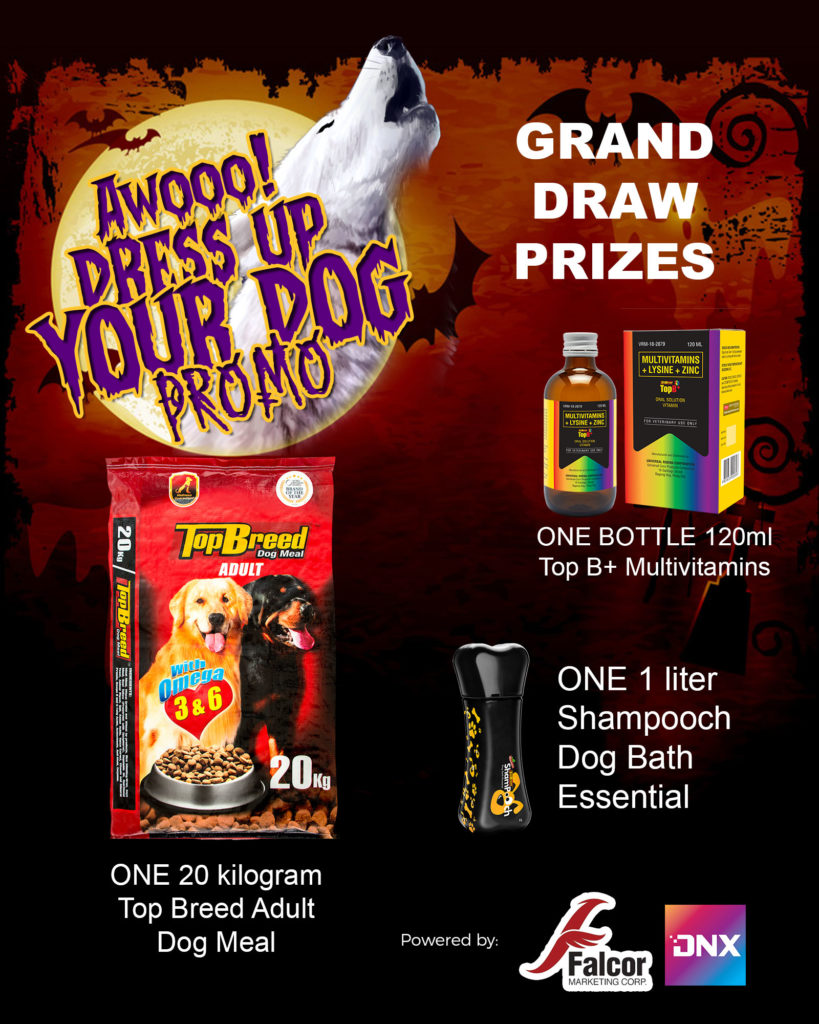 mechanics for awooo!!! it's halloween dress up your dog 2 Awoo Promo 3
