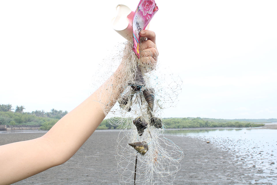 NWTF Client Services Department stayed behind to conduct coastal clean up after the mangrove planting. | Photo provided by NWTF.