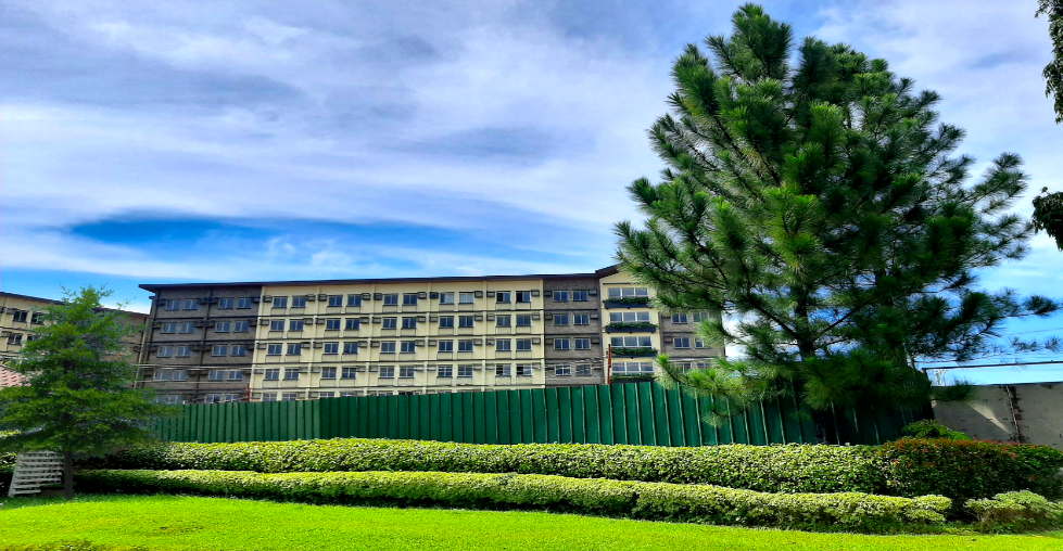 Green and clean. Camella Manors Bacolod perimeter covered by trees and grasses.