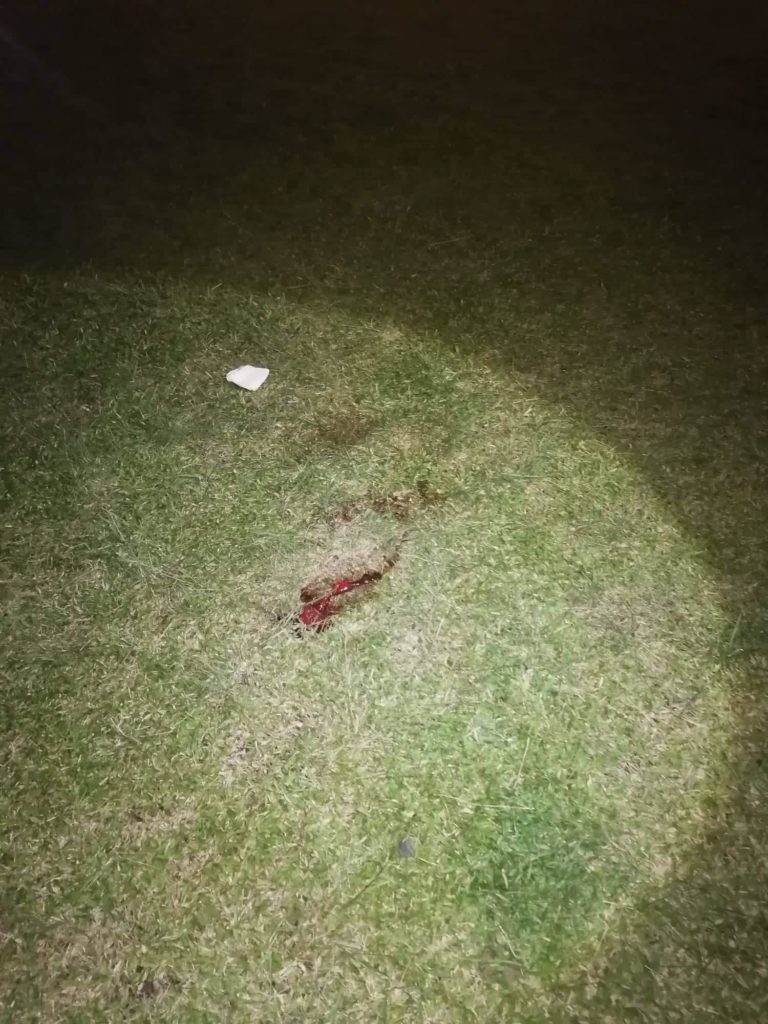 Drops of blood from the stab wound of the 15-year-old victim at the NGC grounds. | Photo from PLT. RICKY CAYAO.