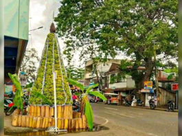 BACOLOD CITY, Negros Occidental, Philippines - Motorists and passersby in the city of Tanjay in Negros Oriental province who are being treated to a visual and fruity surprise by a banana-growing community there that won in a contest for best Christmas tree.