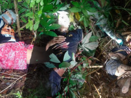 BACOLOD CITY, Negros Occidental, Philippines - Three corpses left behind in the fields in two cities here are now baffling policemen as the first month of 2023 draws to a close.