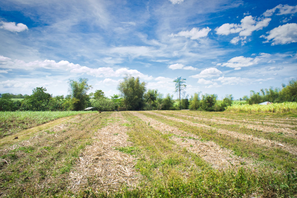 NEGROS Occidental has lost more or less P6.11 million worth of crops due to the dry spell brought about by the El Niño phenomenon. As of March 5, 2019, 253 farmers are currently affected by the dry spell. The area in the picture hasn't felt the full effect yet, just very limited crop growth. | "Dry Landscape" by Brian Evans is licensed under CC BY-ND 2.0.